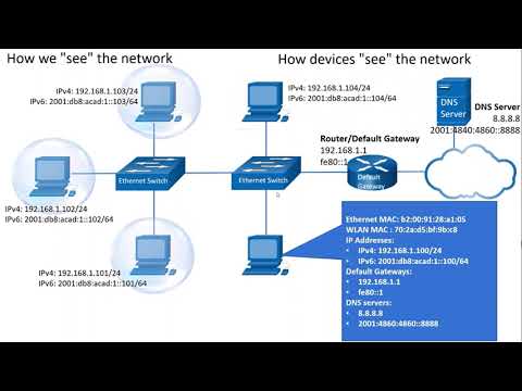 CCNA - Devices in a Bubble