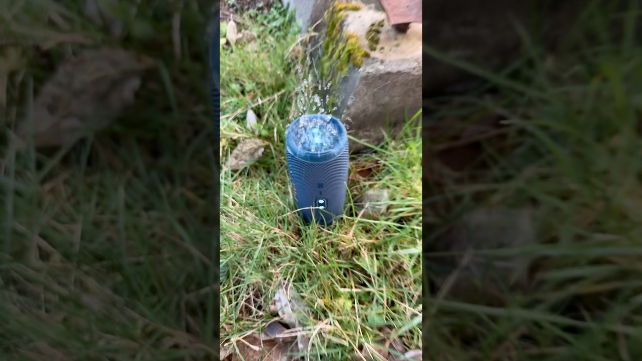 you guys should get this JBL waterproof speaker 