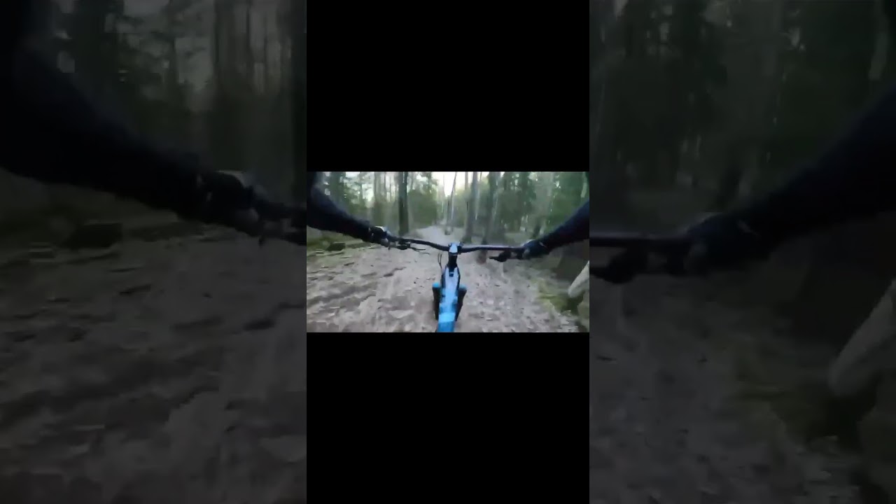 Kauppi MTB trails 🪨🪨🌲🌲