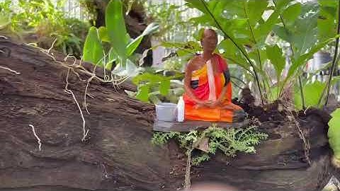 Thầy Thích Minh Tuệ - tiểu cảnh thác nước hồ cá