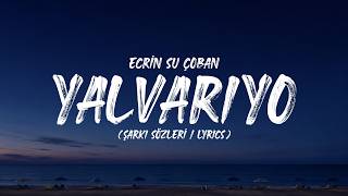 Ecrin Su Çoban - Yalvarıyo (Şarkı Sözleri / Lyrics)