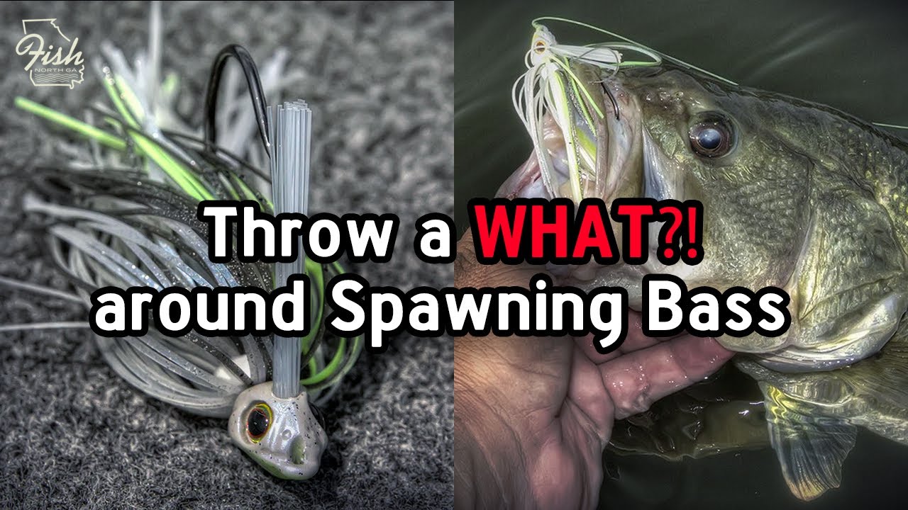 bait worm on a hook for fishing. fish ba, Stock Video