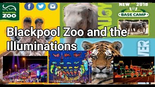 Blackpool Zoo and the Illuminations