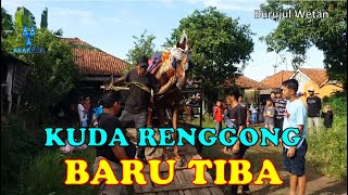 Download Lagu KUDA RENGGONG HEGAR JAYA CS BARU TIBA DI LOKASI #anakkids MP3