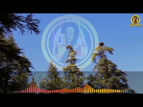 TOP AMAZIGH CLASSIC من التحف الأمازيغية الكلاسيكية بعنوان وخى غوري تليد