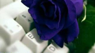 HELLO-ALEXANDER ZAILER