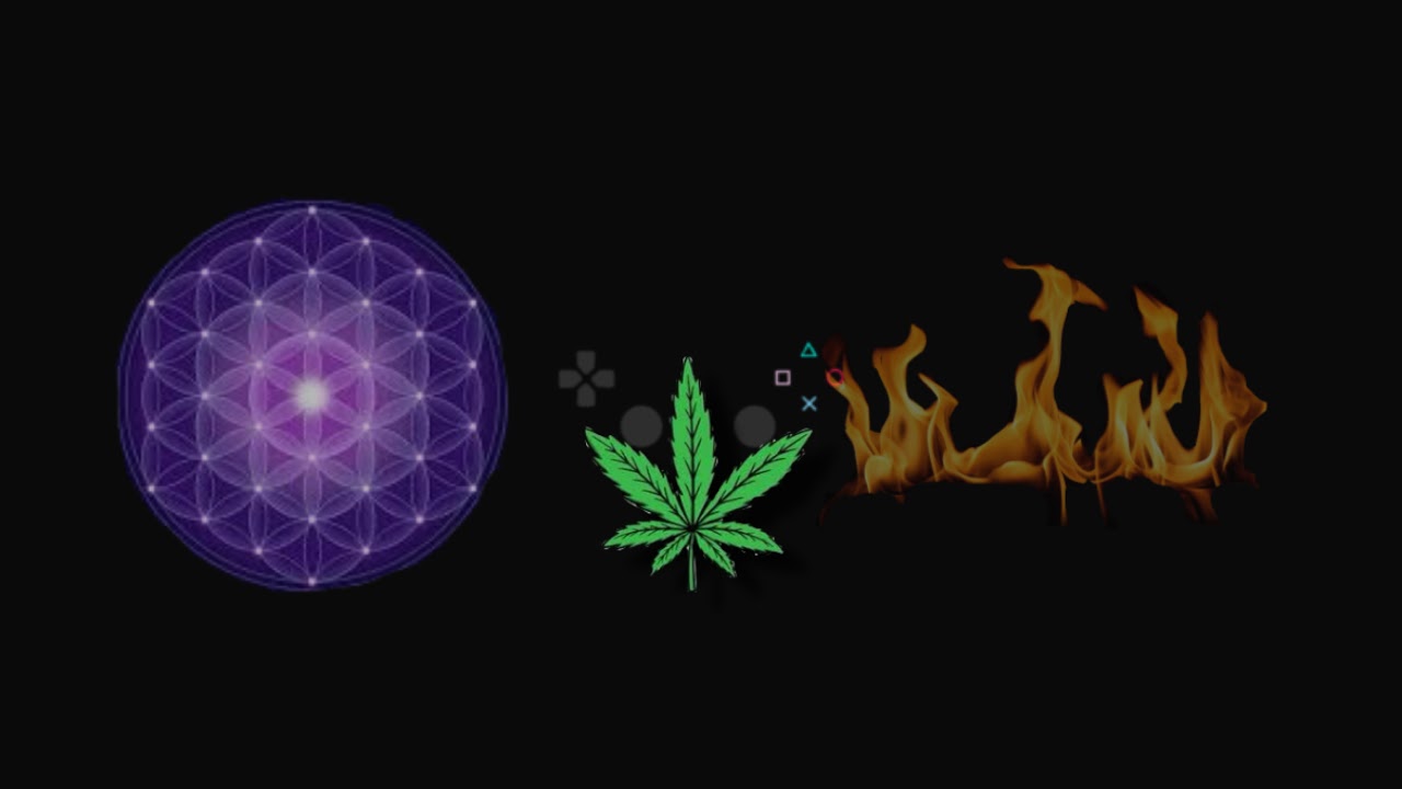 Rocket with TOMANYONE