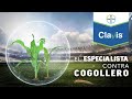 Clavis®, el especialista contra cogollero // retransmisión 1er webinar