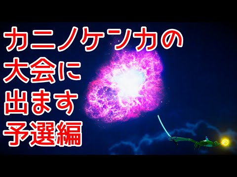 カニノケンカの大会に出ます～予選編～