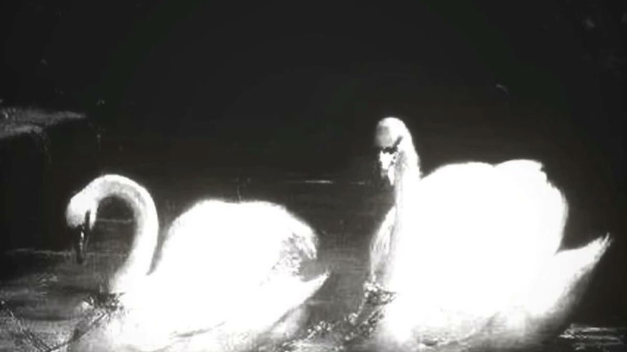 Staticx.mp3 // lace & dust [Official Audio]