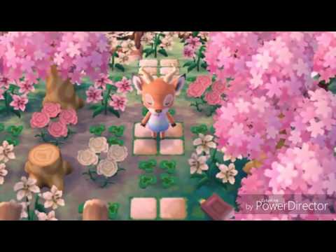 [Acnl] Je vous montre comment j'ai récupéré Muonium mais sans connexion...