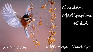 Guided Meditation + Q&A with Ayya Jitindriya ~ Sunday 5th May @ 7am AEST