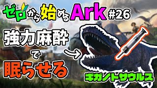 [ #28 ゼロから始めるArk ] ジャングルの洞窟を完全攻略する方法 #ラグナロク #ark #arksurvivalevolved #コラボ