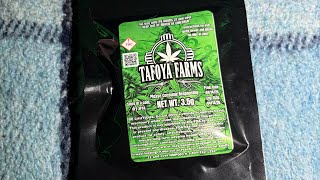 Tafoya farms dispensary bud review hypothermia
