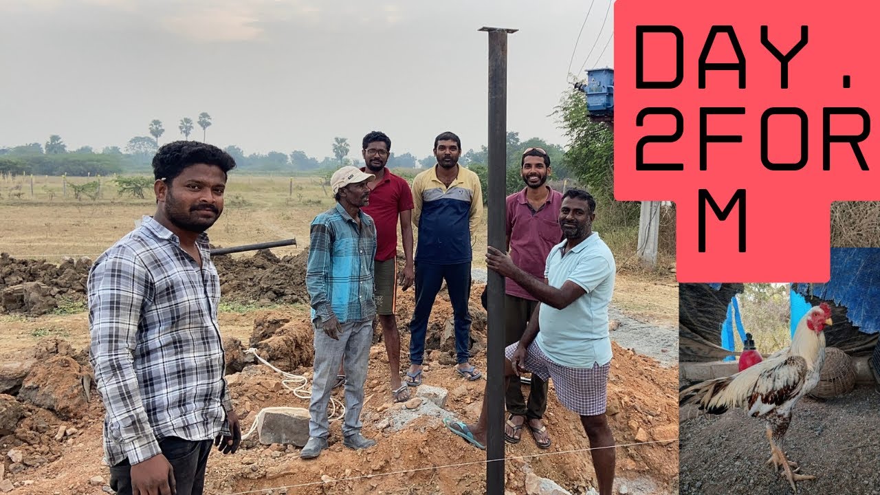 We Built a Real Chicken Coop