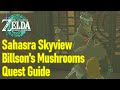 Zelda tears of the kingdom sahasra slope skyview guide billsons mushroom cave quest walkthrough