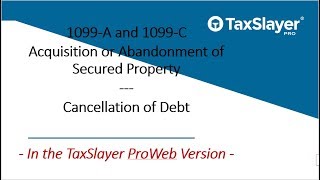 How to File 1099A and 1099C in TaxSlayer Pro Web