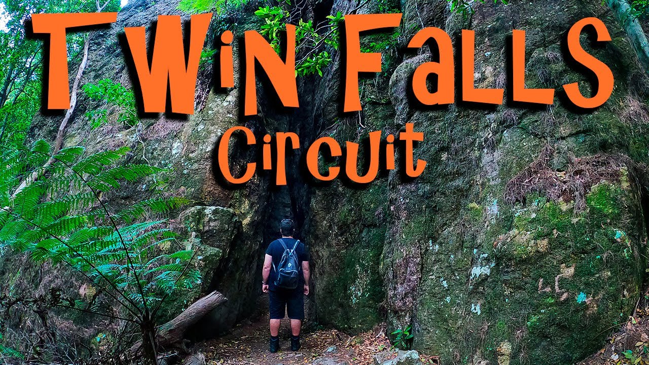Caves, Cliffs and Cascades- Twin Falls Circuit Springbrook National ...