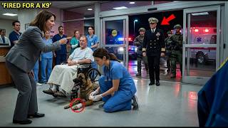 They Fired Her for Saving a K9... Then SEALs Kicked In the Doors