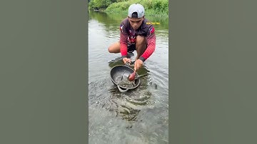 Cá Lớn - bắt Cá Lau Kính Khủng mắc kẹt dưới chảo 😱 #khacthuyvlogg