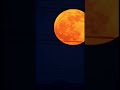 Wait.. ✈️😁 🌕strawberry full moon rising #fullmoon #shorts