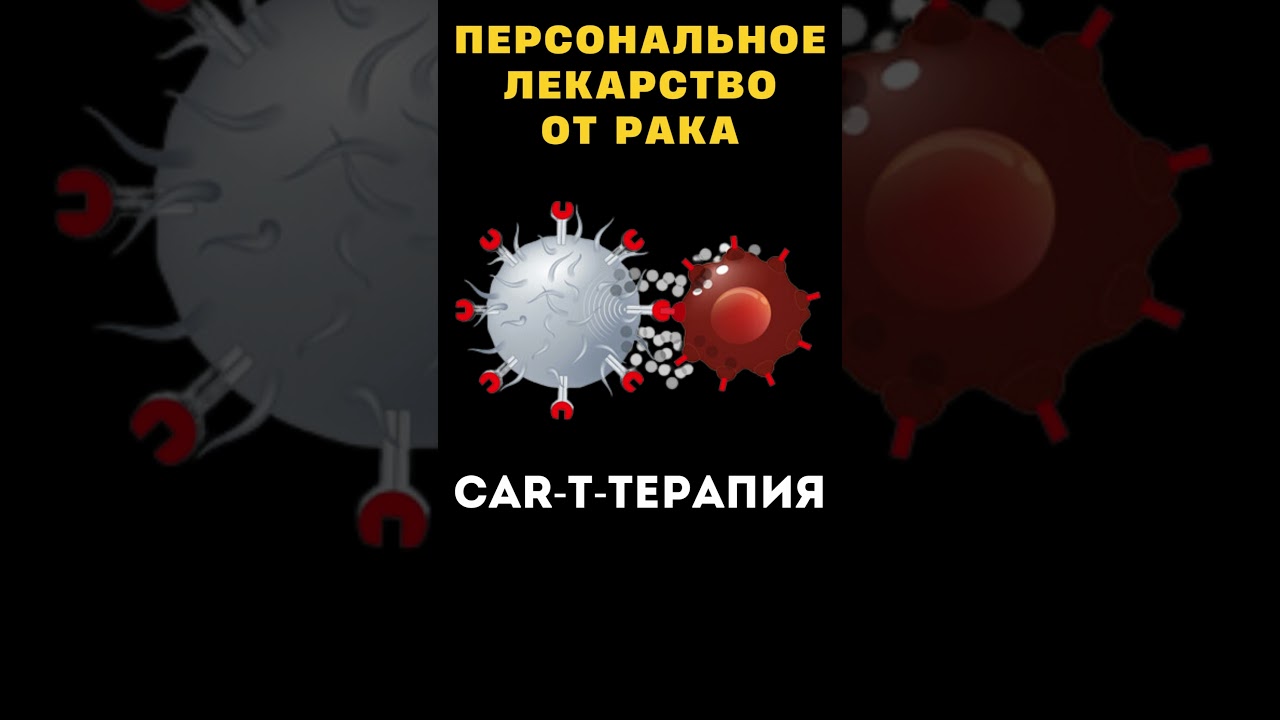 КАК УБИТЬ РАК? CAR-T-терапия #меднавигатор #рак #опухоль #онкология
