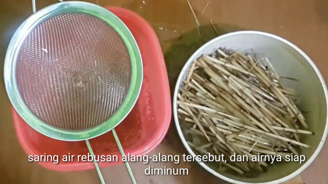 Tanaman Alang-alang 