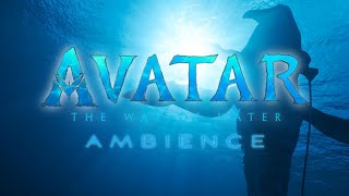 Avatar: The Way of Water | Tulkun | Ambient Soundscape