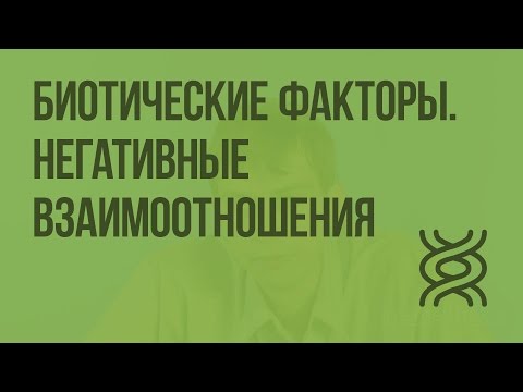 Биотические факторы. Негативные взаимоотношения между организмами. Видеоурок по биологии 11 класс