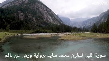 محمد سايد - سورة الليل |092| MOHAMED SAYED - SURAT AL LAYL