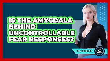 Is The Amygdala Behind Uncontrollable Fear Responses? - Face Your Phobias
