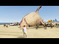 Shin chan  franklin found biggest scary megalodon in gta 5 in telugu