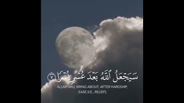 سورة الطلاق قارئ رعد الكردي