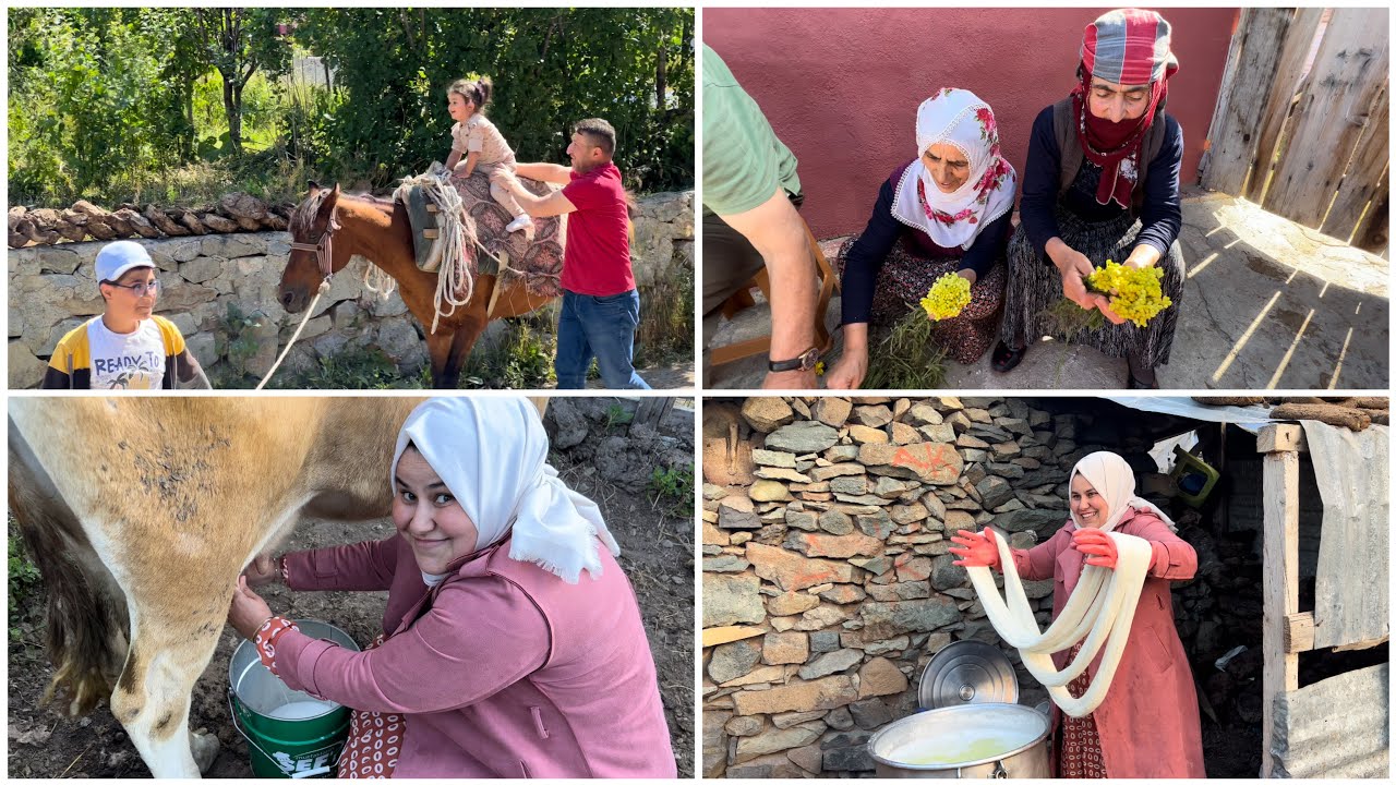 KÖYDE YAYLA GÜNÜ | AT’A BİNDİ HİÇ KORKMADI | KÖY PEYNİRİ YAPTIM
