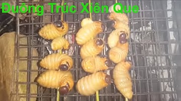 Đuông Dừa Nướng BBQ | Đuông Trúc Xiên Que || Món ăn kỳ lạ - Đặc sản miền quê