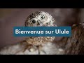 Introduction  bienvenue sur ulule 