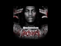 Waka Flocka Flame Hard In The Paint 2010 mp3