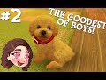 THE GOODEST OF BOYS! - Let's Play Nintendogs + Cats #2