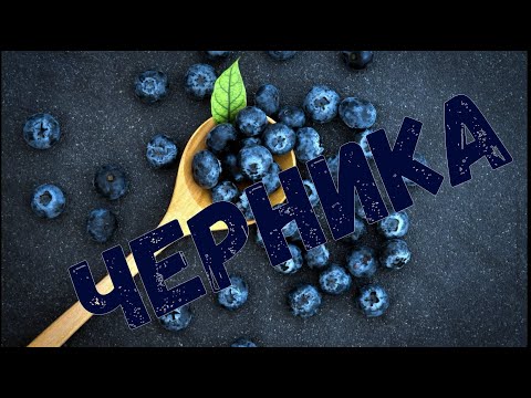 Как растет Черника | интересно знать | blueberries