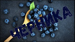 Как растет Черника | интересно знать | blueberries