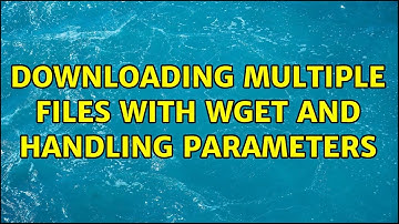 Downloading multiple files with wget and handling parameters