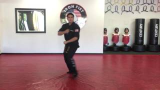 White Belt Form 1 - Kicho Il-Jong - Audience View Version