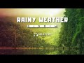 Free reggae instrumental beat 2019 rainy weather riddim by soulfyah productions