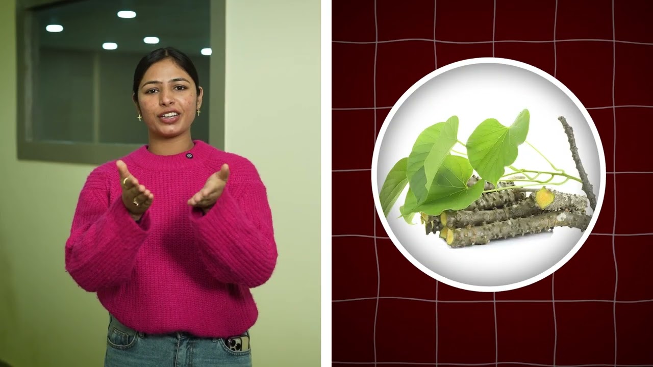 Liver Detox Naturally | Poor Digestion & Fatigue Cause | Yakrit Tonic | Jeena Sikho