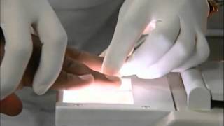 Fingerprint Recognition-school task
