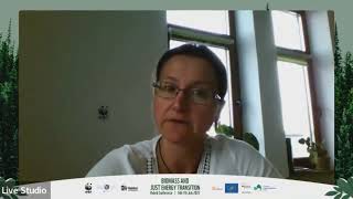 National Policies of Romania by Antoanela Costea|BioScreen &amp; Just Energy Transition Conference, 2022