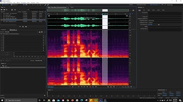 Spectral Frequency Display in Adobe Audition