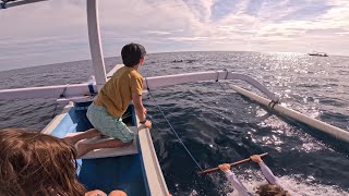Swimming With Dolphins In Bali