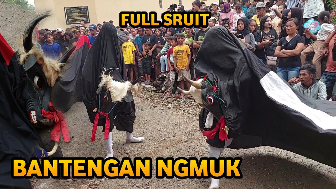 Bantengan Ngamuk Satria Macan Kumbang Full Sruit Live kudur Gondang Mojokerto