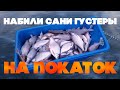 Покаток. Зимняя рыбалка. Дон. Ловля на покаток.